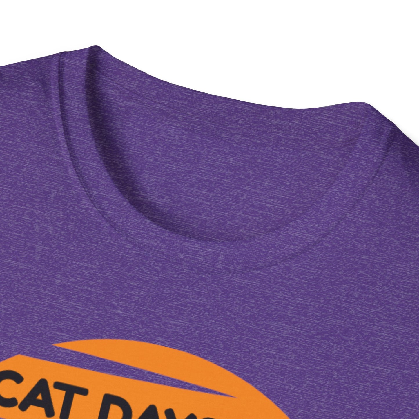 Cat Days of Summer Unisex Softstyle T-Shirt, Cute Cat Shirt, Summer Tee, Vacation Top, Animal Lover Gift, Fun Relaxed Fit