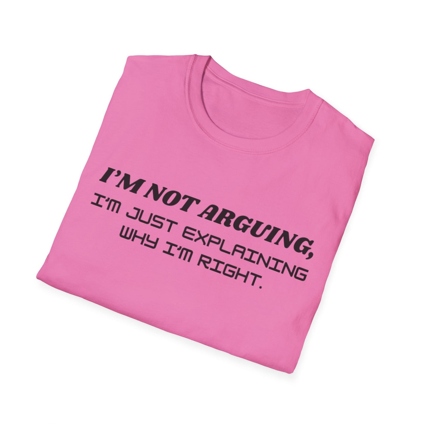 I'm Not Arguing Unisex Softstyle T-Shirt, Funny Quote Tee, Gift for Friends, Humor T-Shirt, Casual Wear, Everyday T-Shirt
