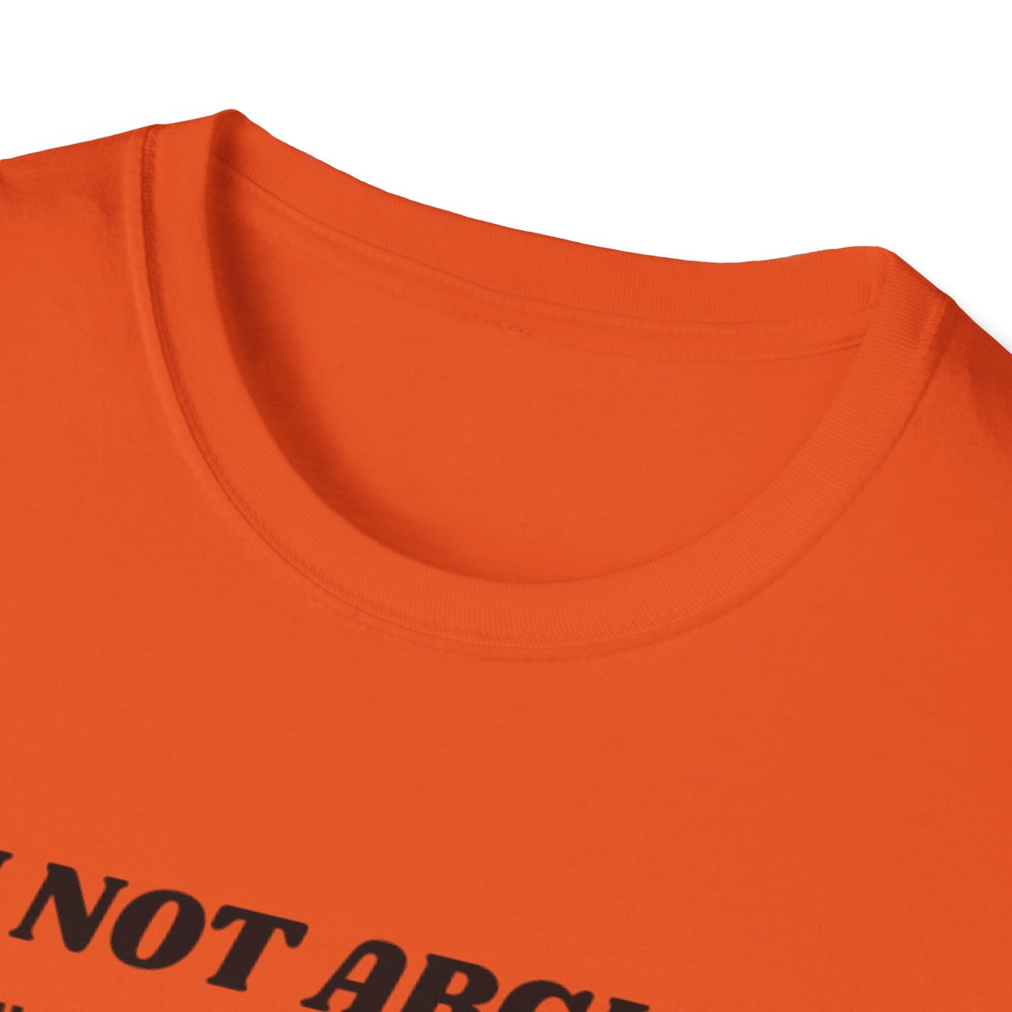 I'm Not Arguing Unisex Softstyle T-Shirt, Funny Quote Tee, Gift for Friends, Humor T-Shirt, Casual Wear, Everyday T-Shirt