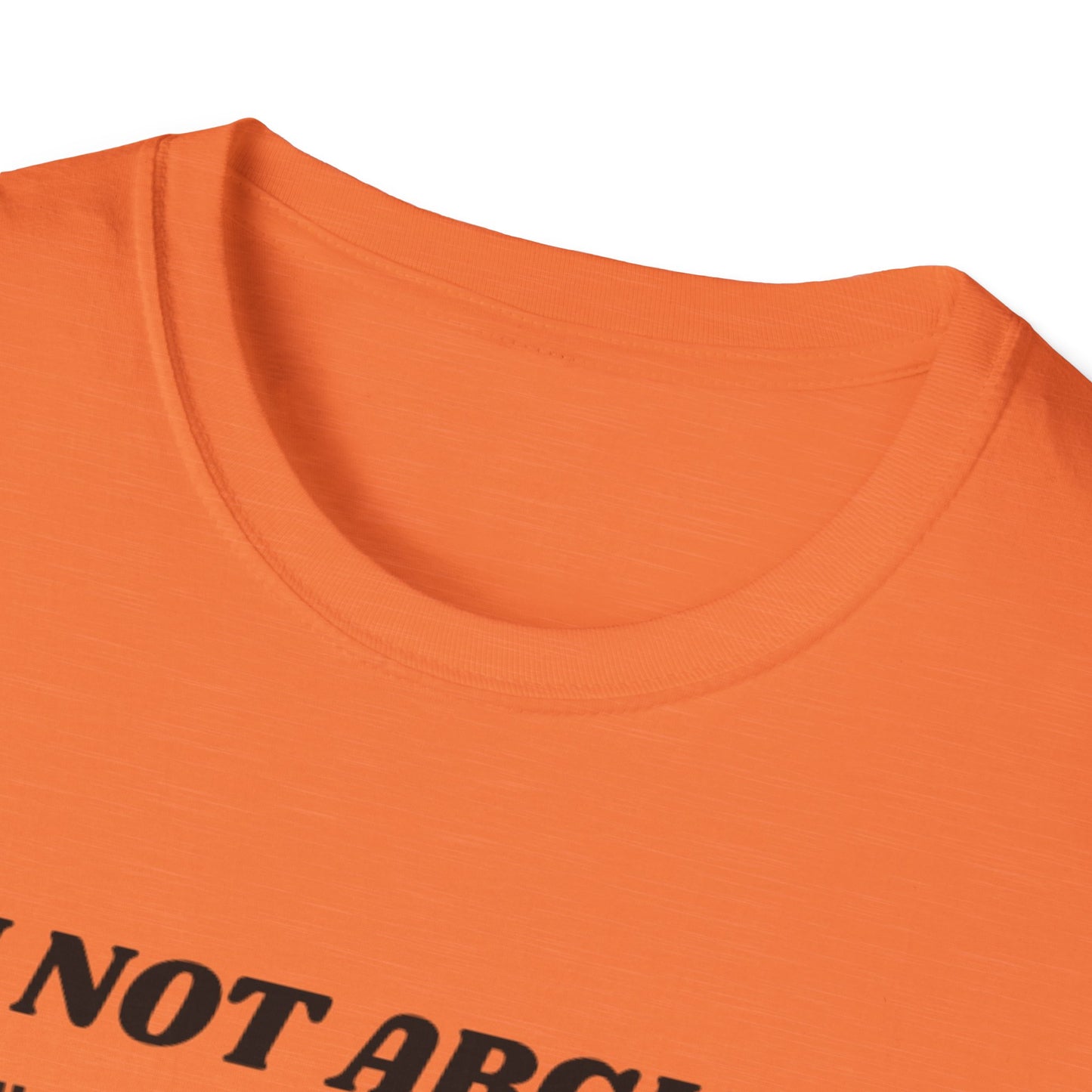 I'm Not Arguing Unisex Softstyle T-Shirt, Funny Quote Tee, Gift for Friends, Humor T-Shirt, Casual Wear, Everyday T-Shirt