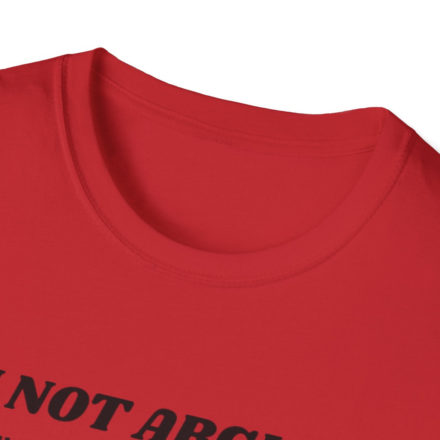 I'm Not Arguing Unisex Softstyle T-Shirt, Funny Quote Tee, Gift for Friends, Humor T-Shirt, Casual Wear, Everyday T-Shirt