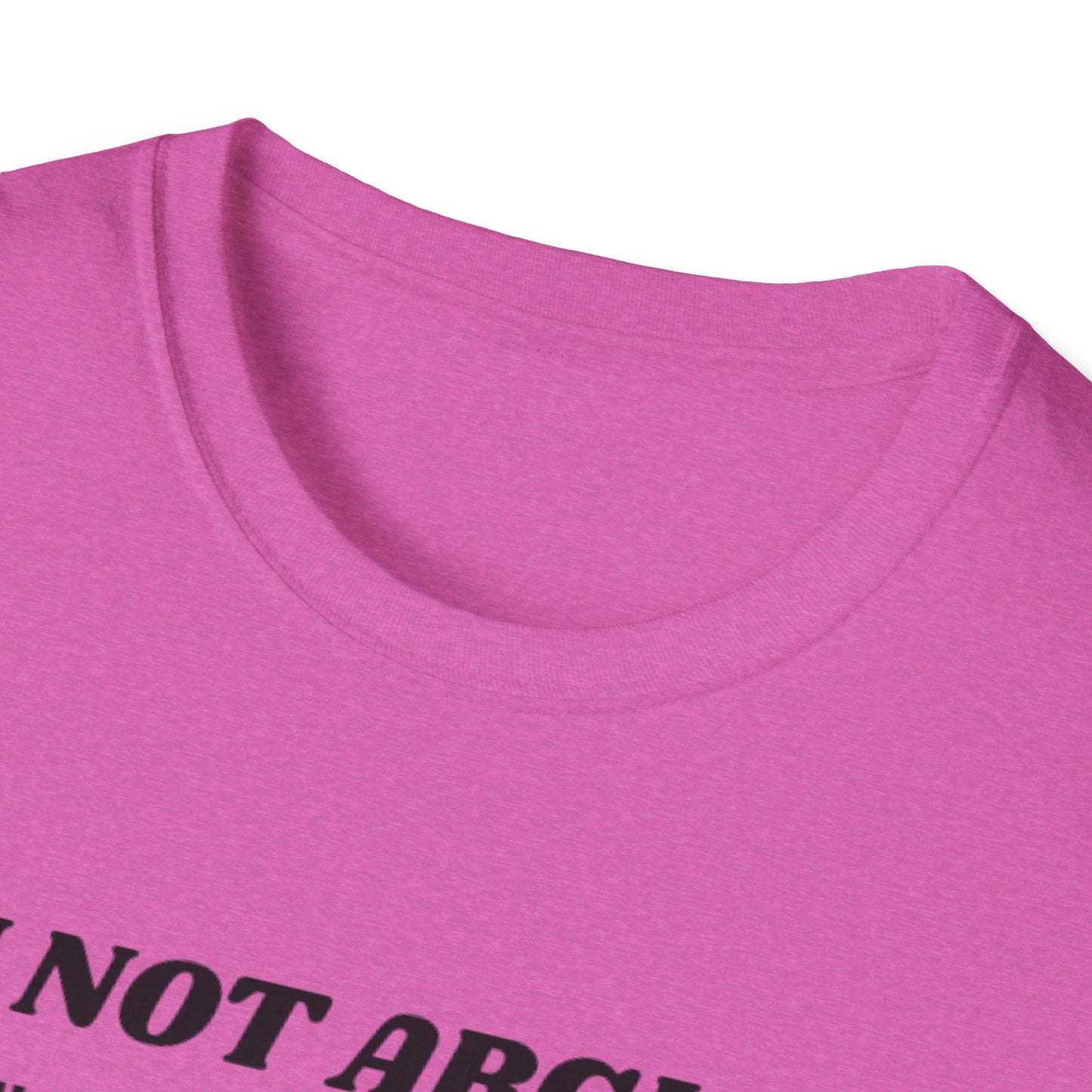 I'm Not Arguing Unisex Softstyle T-Shirt, Funny Quote Tee, Gift for Friends, Humor T-Shirt, Casual Wear, Everyday T-Shirt