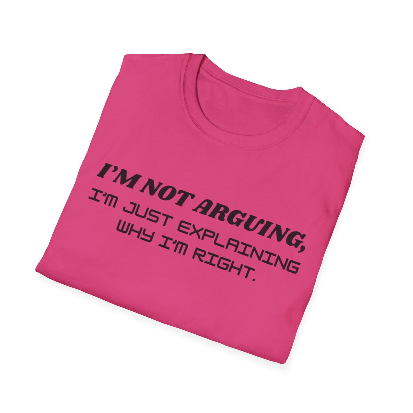 I'm Not Arguing Unisex Softstyle T-Shirt, Funny Quote Tee, Gift for Friends, Humor T-Shirt, Casual Wear, Everyday T-Shirt