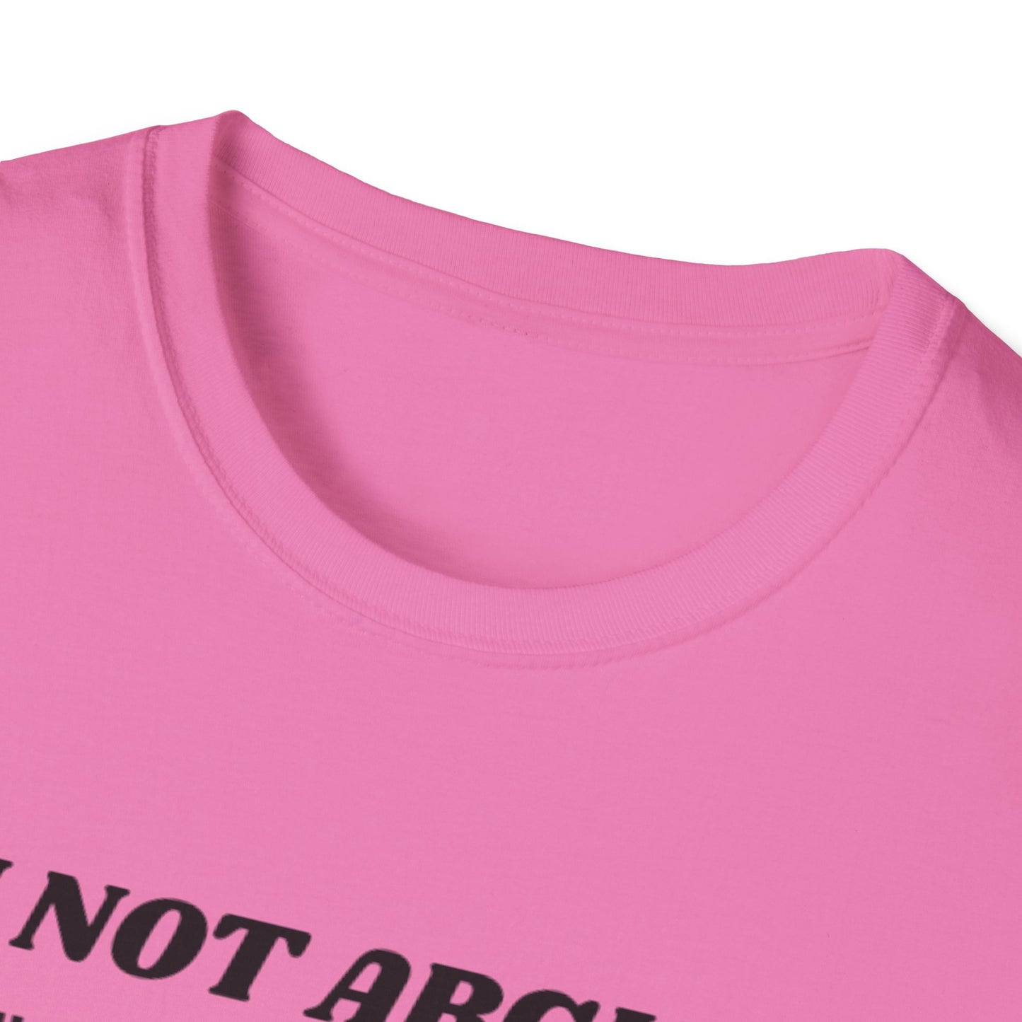 I'm Not Arguing Unisex Softstyle T-Shirt, Funny Quote Tee, Gift for Friends, Humor T-Shirt, Casual Wear, Everyday T-Shirt