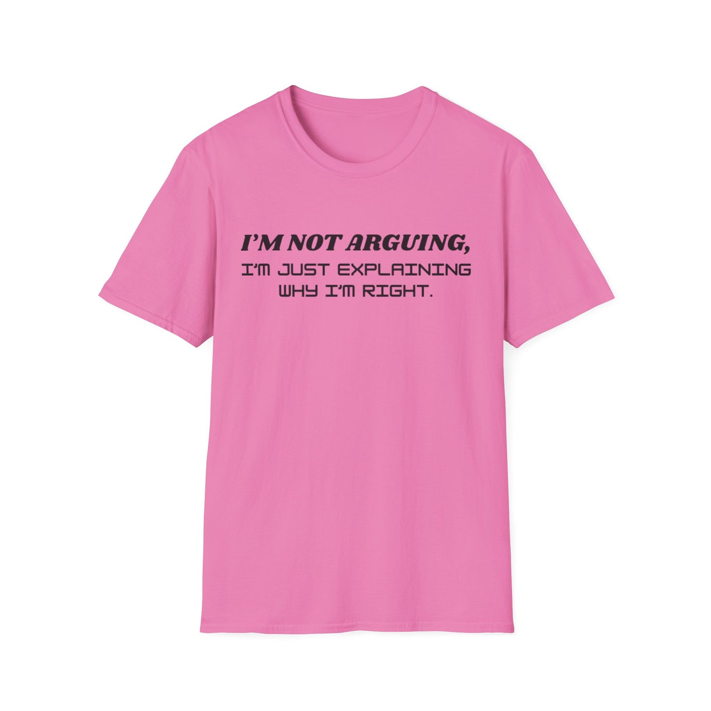 I'm Not Arguing Unisex Softstyle T-Shirt, Funny Quote Tee, Gift for Friends, Humor T-Shirt, Casual Wear, Everyday T-Shirt
